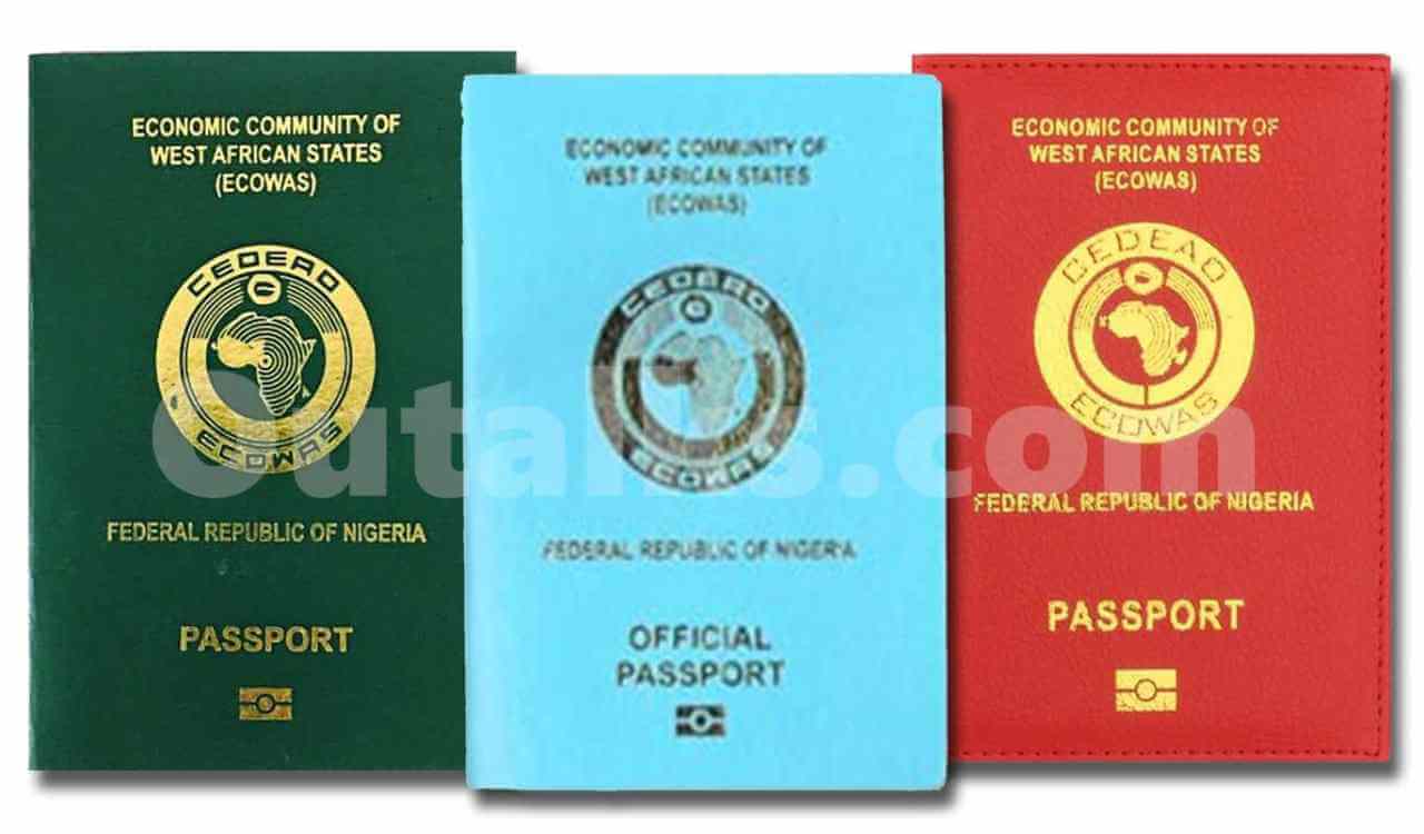 Types Of Passports in Nigeria
